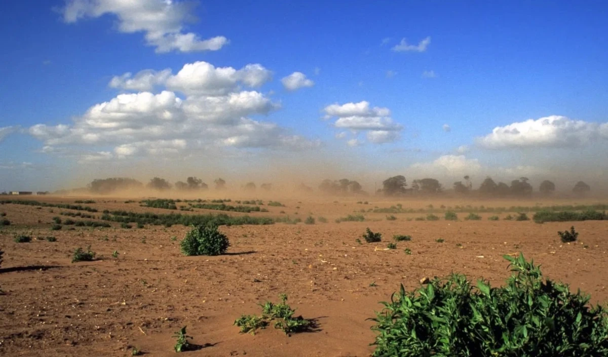 Llaman a proteger las tierras en Día Mundial del Medio Ambiente. Foto: Alamy.