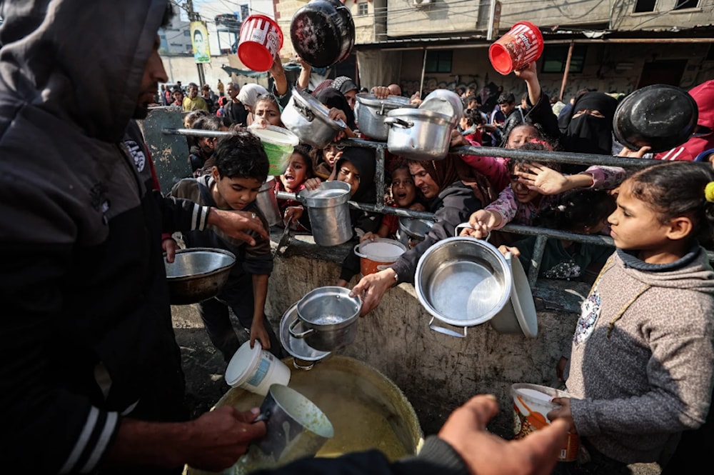 La mitad de la población de Gaza corre el riesgo de sufrir inseguridad alimentaria catastrófica