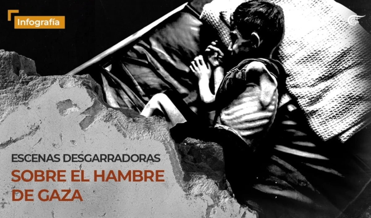 Escenas desgarradoras sobre el hambre de Gaza