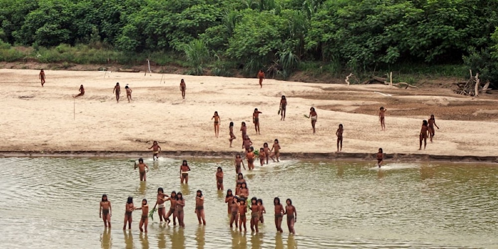 Tala ilegal amenaza a comunidad Mashco Piro en la Amazonía de Perú. Foto: Survival International