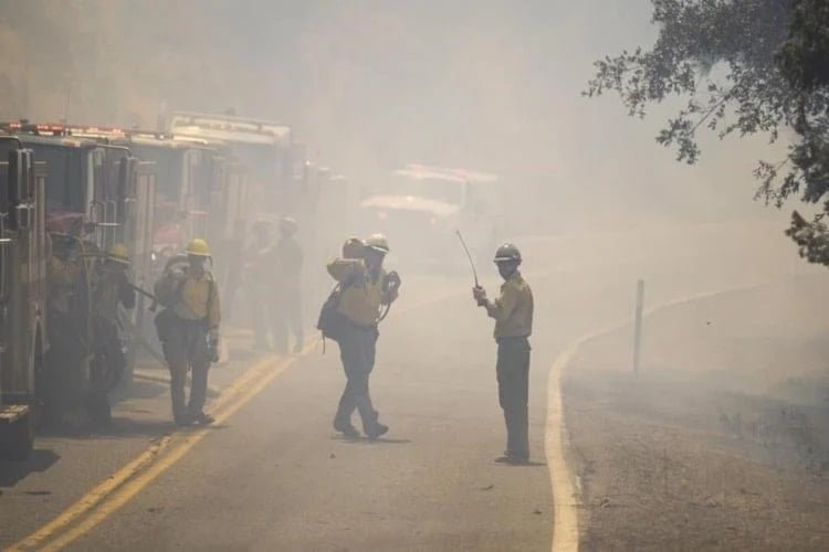 Incendio forestal arrasa en California, Estados Unidos. Foto: AP. 