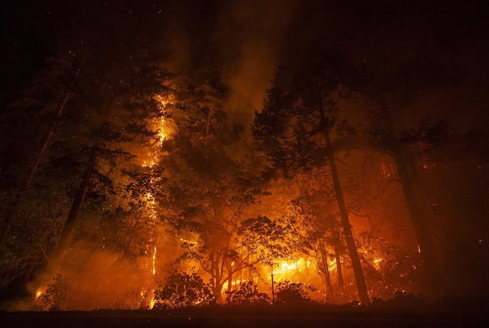 Incendio forestal devasta en California, Estados Unidos