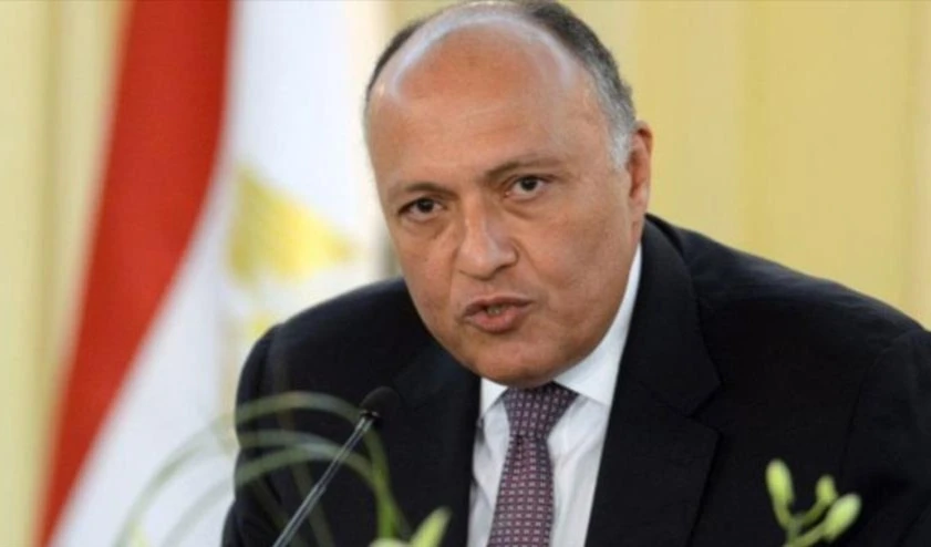 El titular de Exteriores egipcio, Badr Abdel Aty. (Foto: HispanTV) El titular de Exteriores egipcio, Badr Abdel Aty. (Foto: HispanTV)