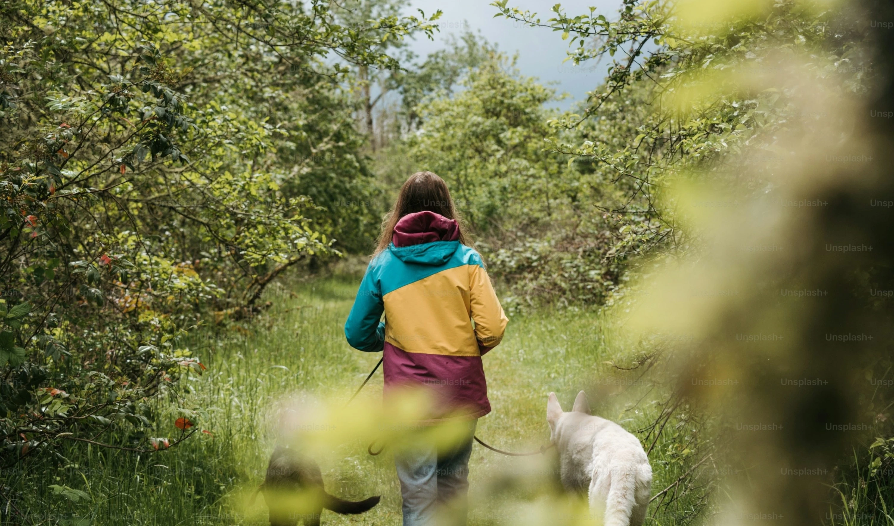 Caminar beneficia el cuerpo y la mente a la vez Caminar beneficia el cuerpo y la mente a la vez