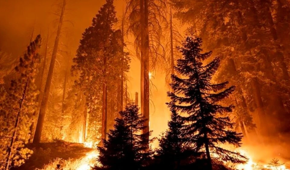El incendio Park fuera de control en California.