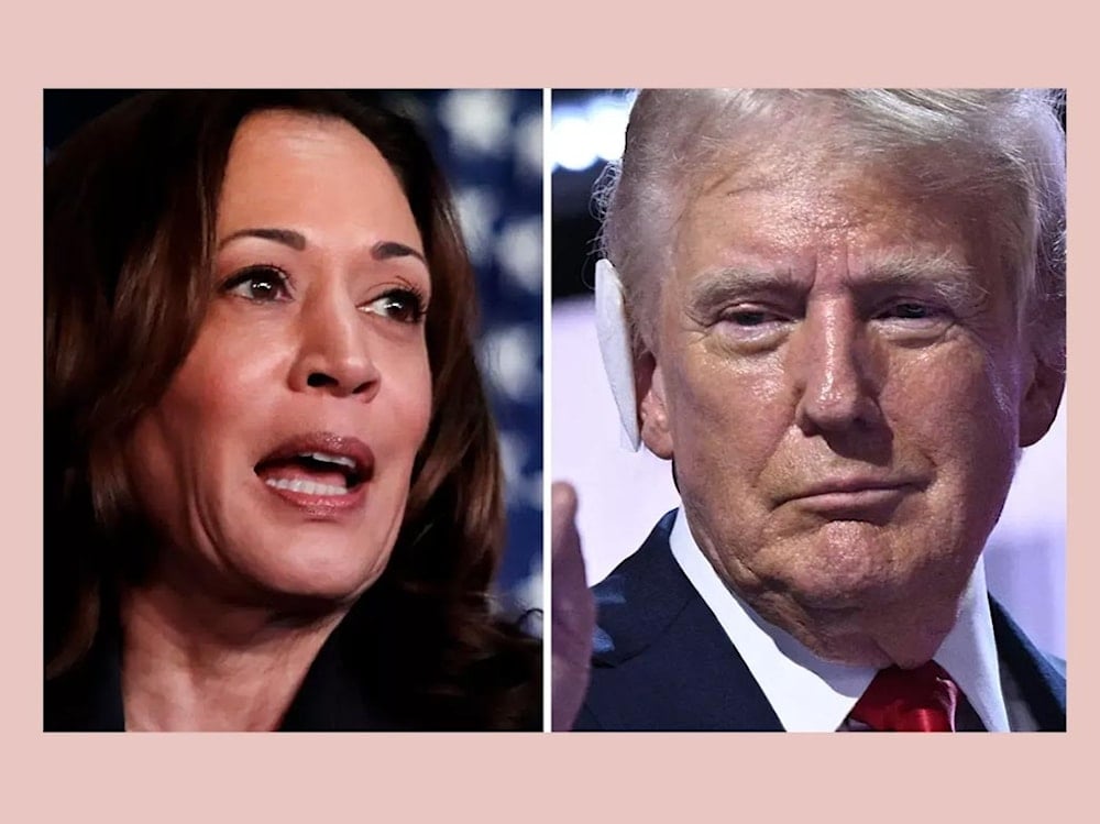 EEUU: Trump acepta debate, busca contrarrestar avance de Harris