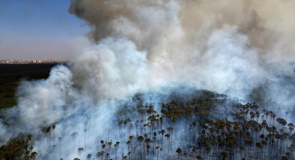 Aire tóxico de incendios en la Amazonía afecta a Sudamérica. Foto: AP. 