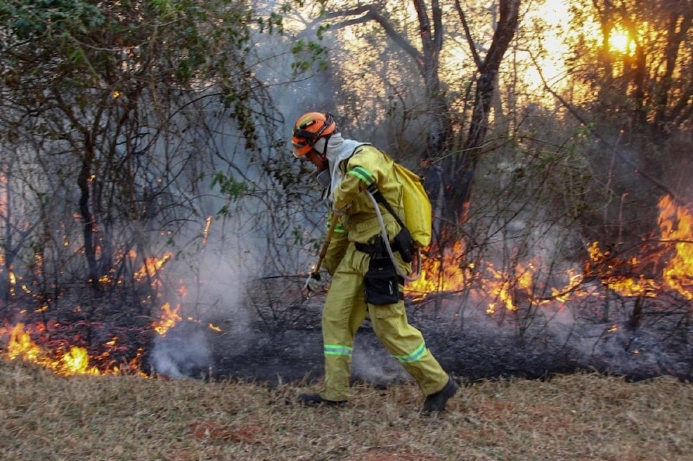 Incendios forestales en Brasil. Foto: AFP. 