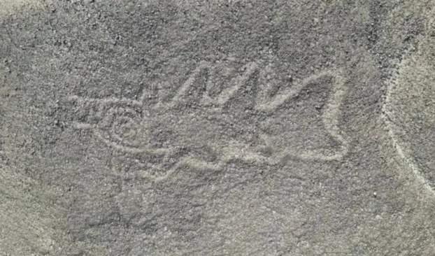 Identificaron 303 nuevos geoglifos en el desierto de Nazca, Perú. Foto: PNAS. Identificaron 303 nuevos geoglifos en el desierto de Nazca, Perú. Foto: PNAS.