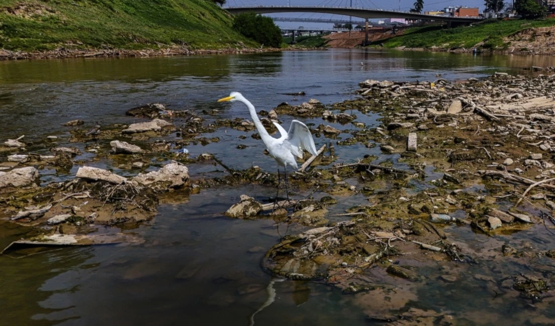 Brasil enfrenta sequía histórica. Foto: AP.