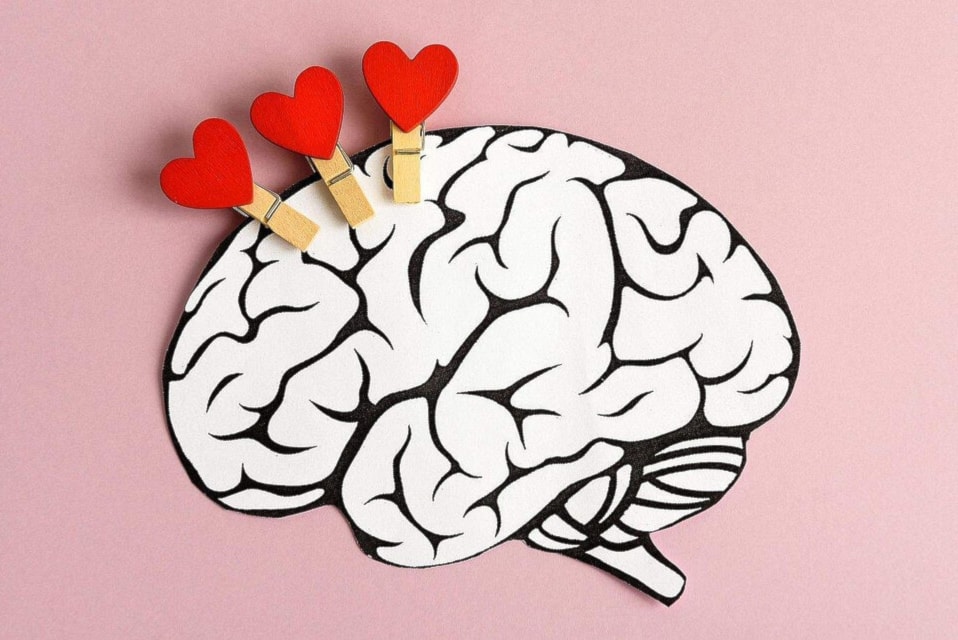 Descifran la actividad cerebral asociada al amor. Foto: AFP. 