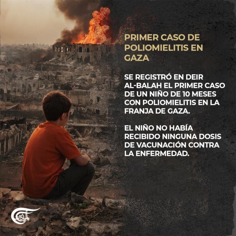 Los desplazamientos, otra forma de matar en Gaza