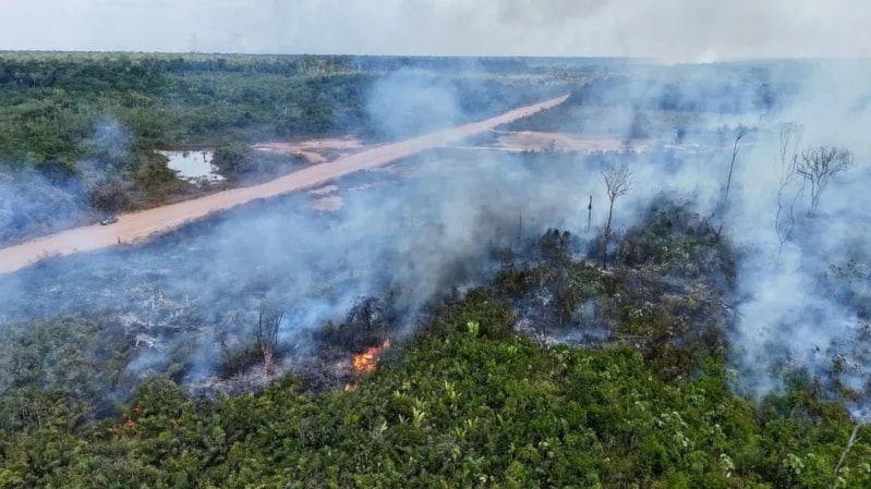 ¿Cómo el cambio climático intensifica incendios en Brasil?