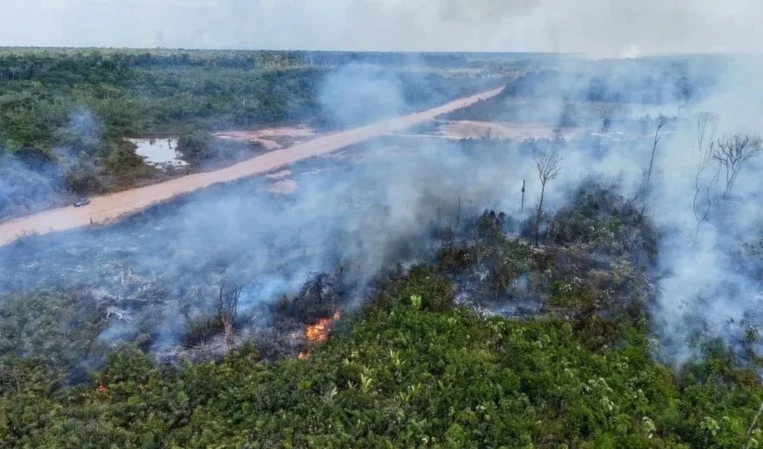 ¿Cómo el cambio climático intensifica incendios en Brasil?