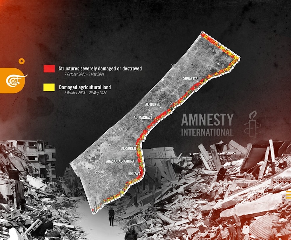 Amnistía Internacional pide investigar crímenes de guerra de “Israel”.