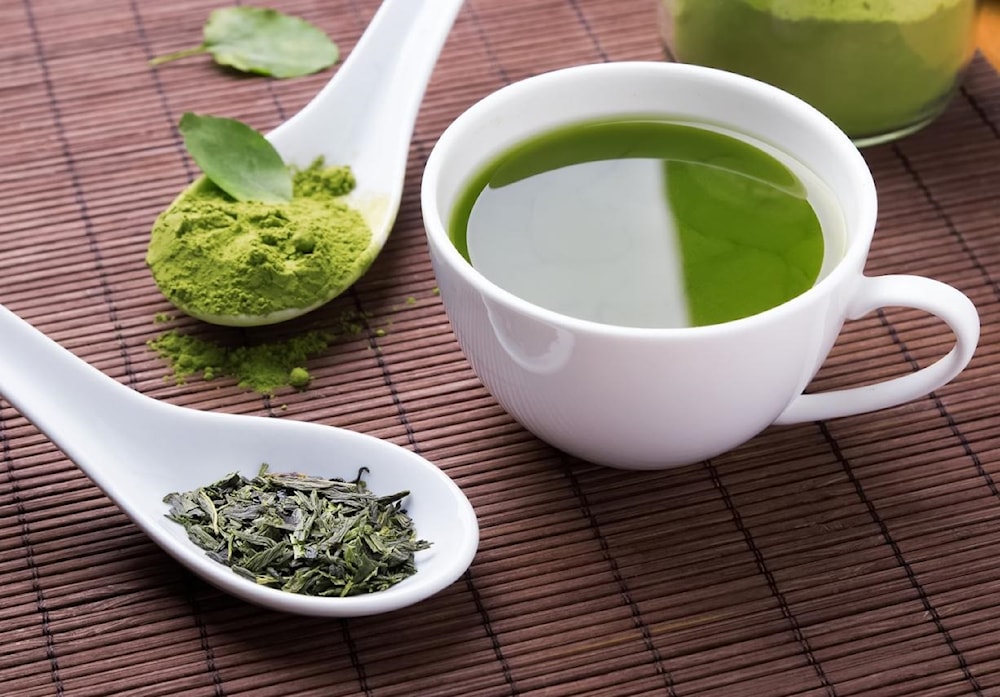 Asocian consumo del té verde con salud cerebral en adultos mayores