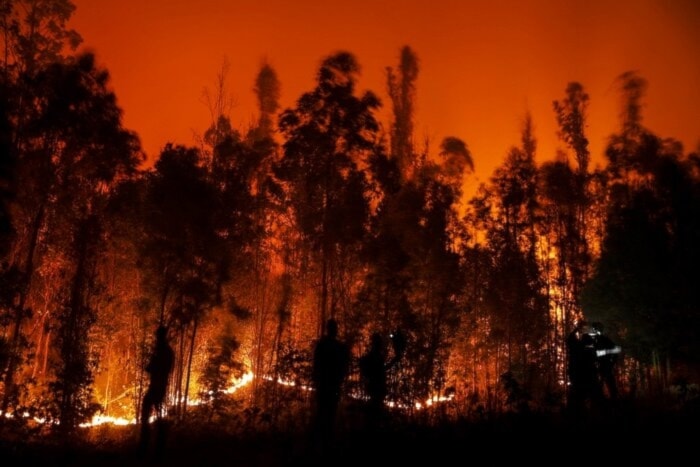 Mueren brigadistas en combate a incendio forestal en Chile