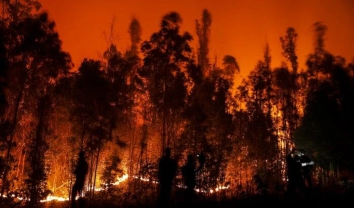 Mueren brigadistas en combate a incendio forestal en Chile Mueren brigadistas en combate a incendio forestal en Chile