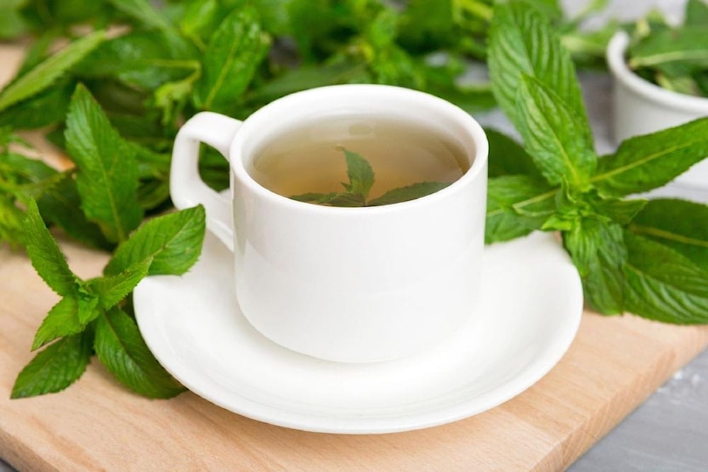 Plantas medicinales que transforman la salud intestinal