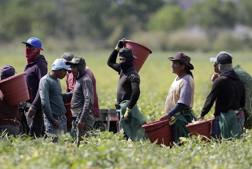 EE.UU. reconoce que la política migratoria podría provocar inflación