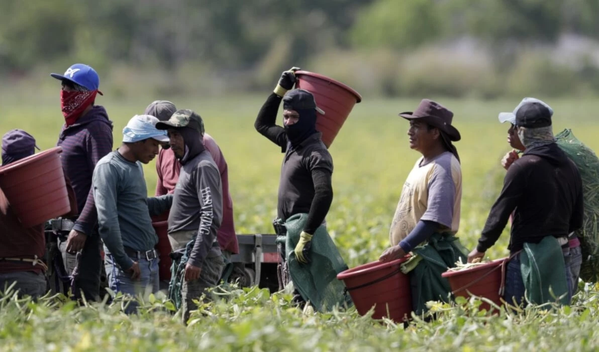EE.UU. reconoce que la política migratoria podría provocar inflación EE.UU. reconoce que la política migratoria podría provocar inflación