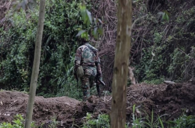 Congo y M23 firman acuerdo para supervisar alto el fuego permanente