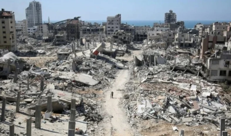 La UNRWA subrayó que la crisis agrícola agrava el colapso económico y alimentario en Gaza. La UNRWA subrayó que la crisis agrícola agrava el colapso económico y alimentario en Gaza.