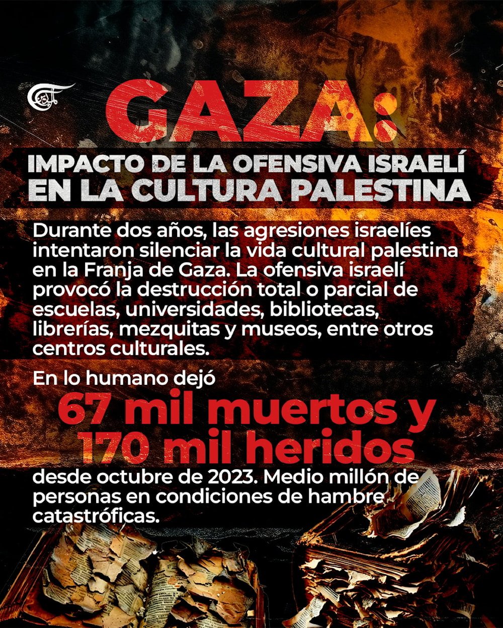 Gaza sin libros ni aulas: la ofensiva israelí contra la cultura
