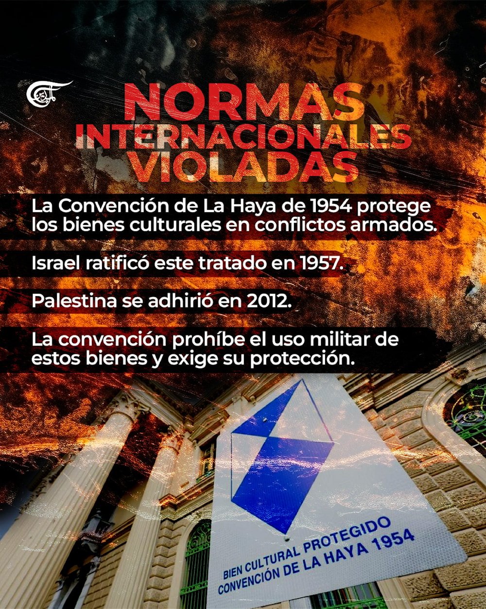 Gaza sin libros ni aulas: la ofensiva israelí contra la cultura