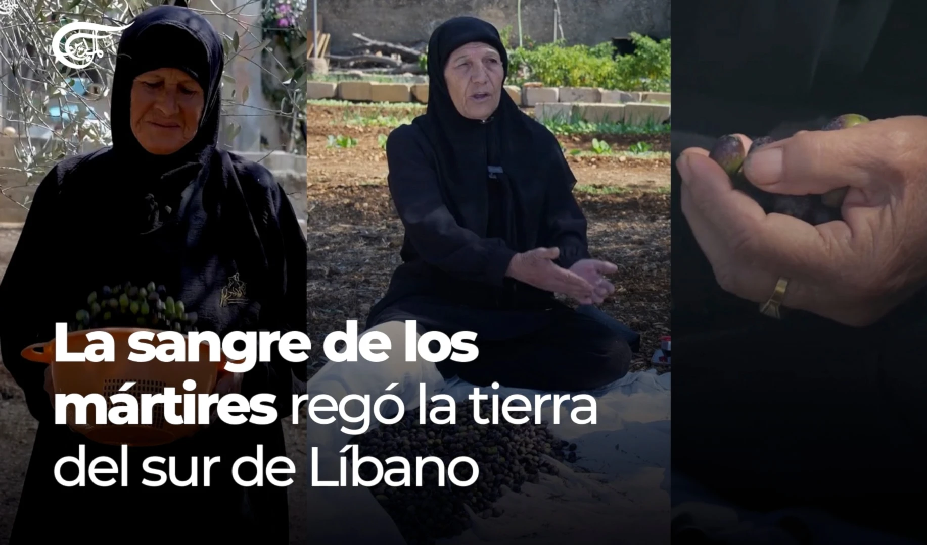 La sangre de los mártires regó la tierra del sur de Líbano La sangre de los mártires regó la tierra del sur de Líbano