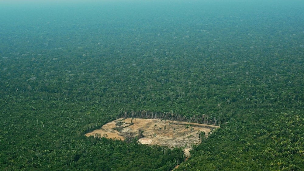 Cop30 une a flotilla en la Amazonía en defensa del planeta