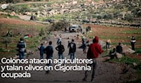Colonos atacan agricultores y talan olivos en Cisjordania ocupada