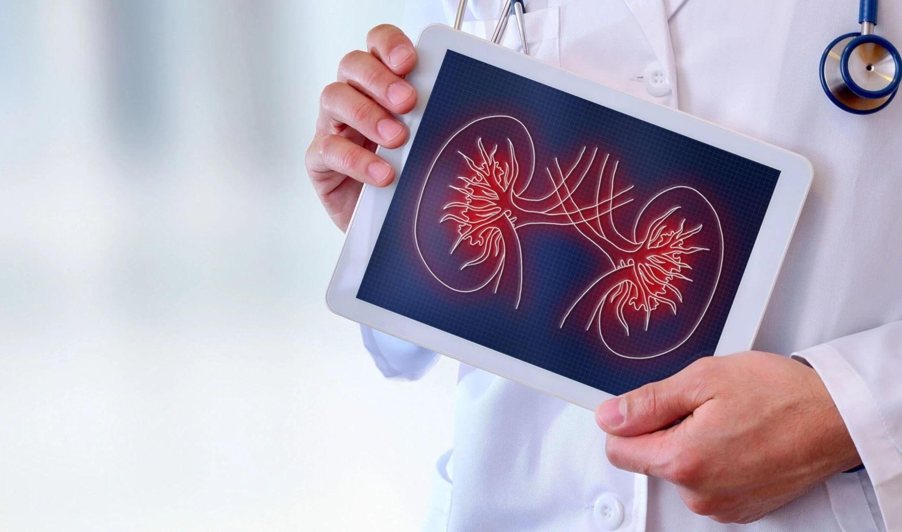 Donación de órganos podría cambiar con riñones compatibles Donación de órganos podría cambiar con riñones compatibles