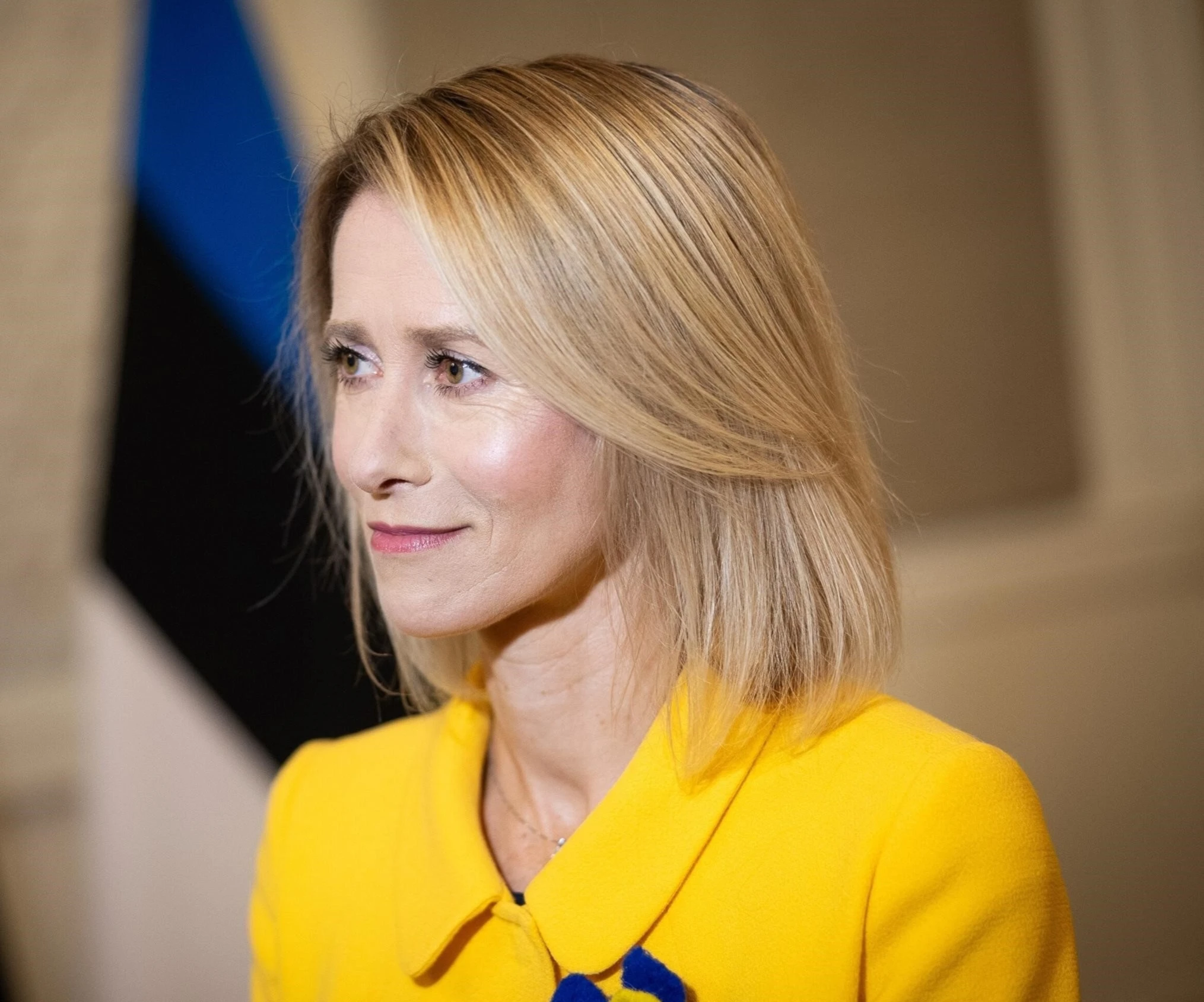 Kallas denunció un “ataque sistemático contra los derechos humanos y las instituciones creadas para protegerlos.