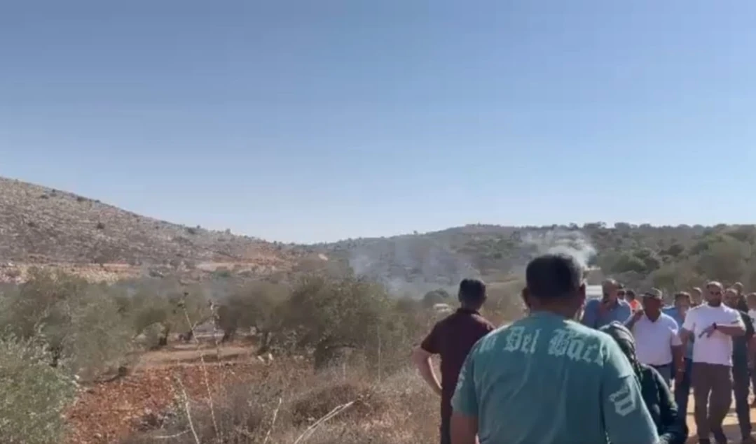 Ataques contra recolectores de aceitunas en Cisjordania