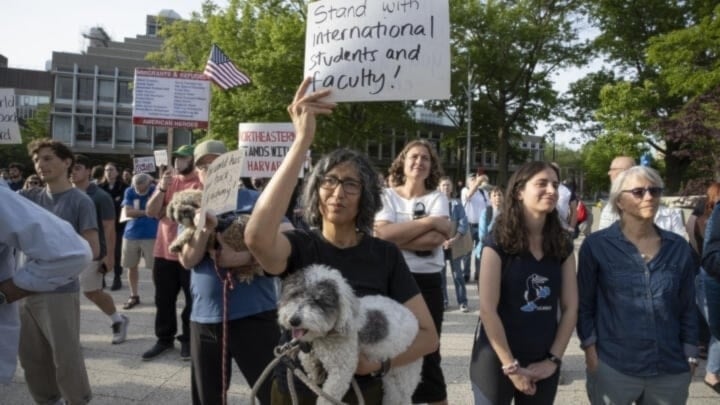 Las llegadas de estudiantes internacionales a EE.UU. cayeron un 19 por ciento en agosto.