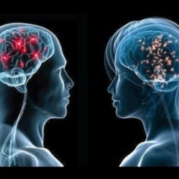 Cerebro masculino y femenino: cientos de genes los diferencian