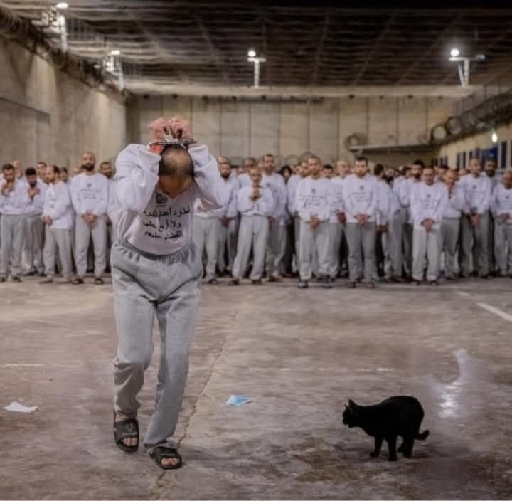 Imágenes que documentan las torturas y las duras condiciones de vida de los prisioneros palestinos en las cárceles israelíes. (Foto: Archivo)