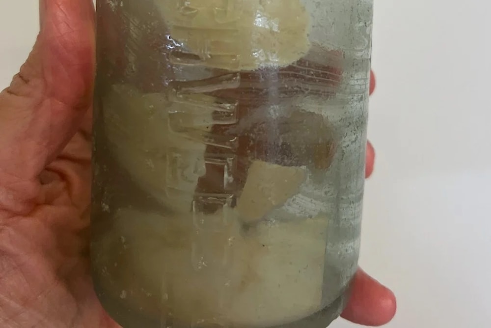 Un mensaje en una botella llega tras más de 109 años. Foto: AP. 