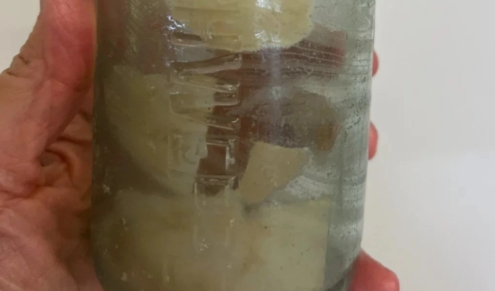 Un mensaje en una botella llega tras más de 109 años. Foto: AP.