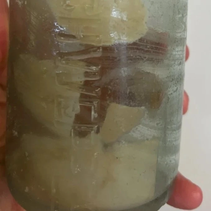 Un mensaje en una botella llega tras más de 109 años. Foto: AP.