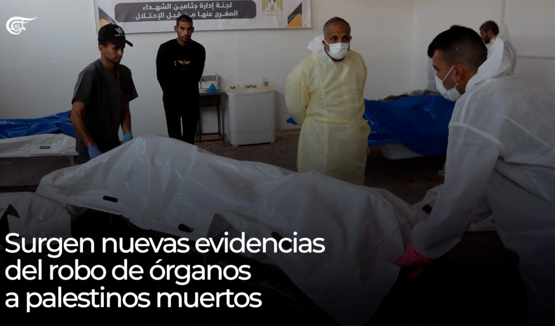 Surgen nuevas evidencias del robo de órganos a prisioneros palestinos muertos