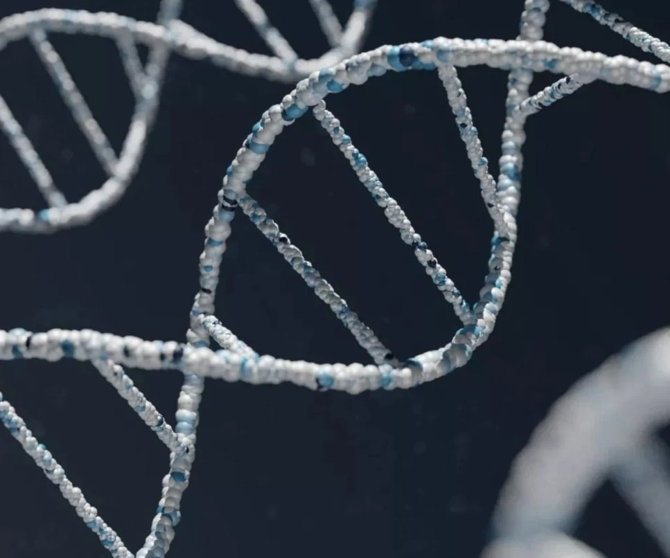 ADN: la carrera para extender la juventud. Foto: Unsplash.