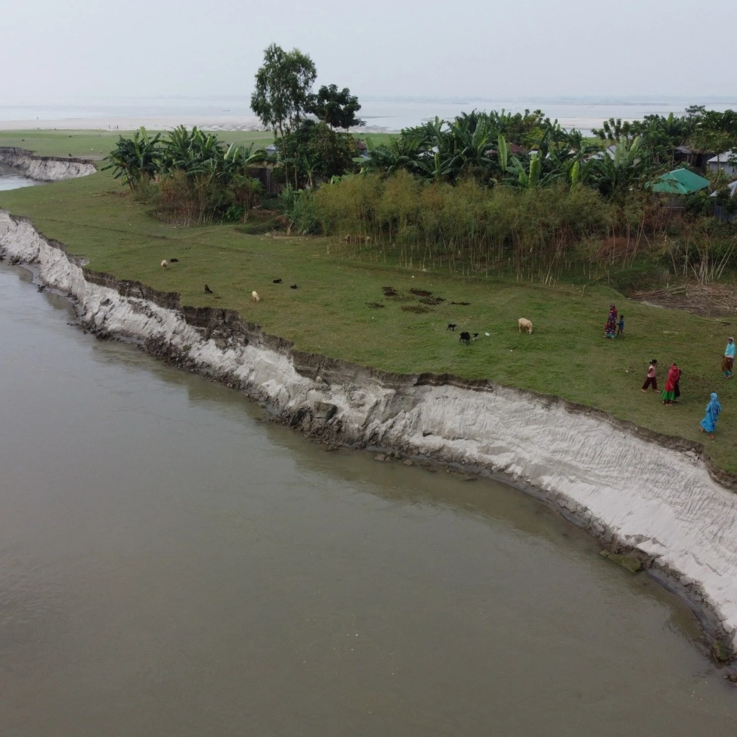Río Brahmaputra desaparece cada día por la erosión fluvial
