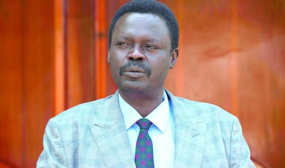 Gobernador de Darfur denuncia presencia masiva de combatientes extranjeros en las FAR