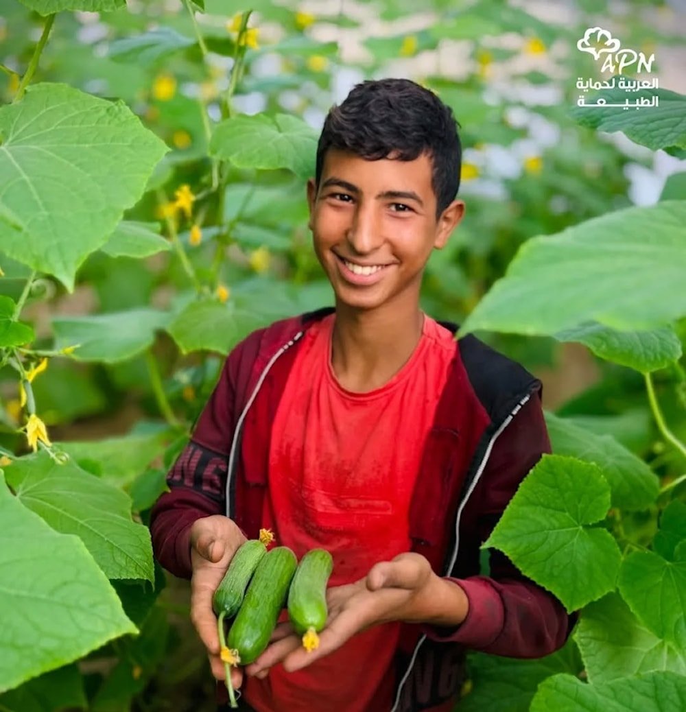 Jóvenes cultivan en la Franja de Gaza a pesar del asedio 