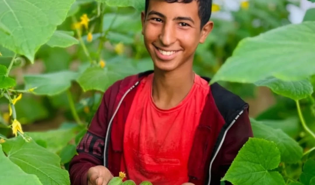 Jóvenes cultivan en la Franja de Gaza a pesar del asedio
