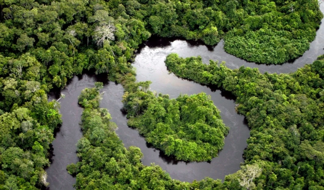 Amazonía de Colombia es declarada libre de extractivismo