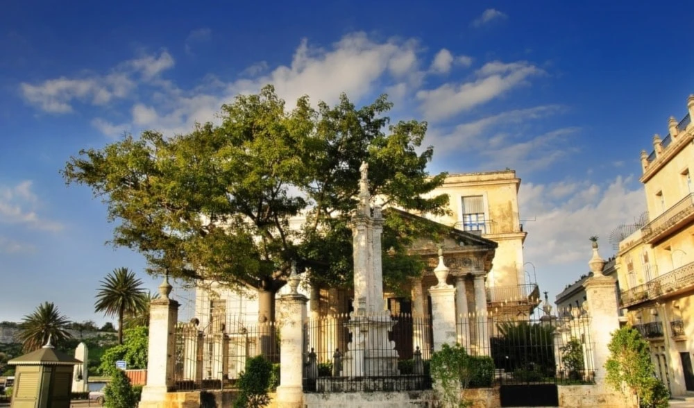 La Habana en sus 506 años: La ceiba de El Templete