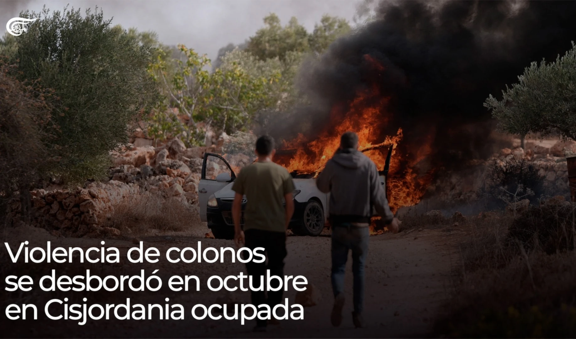 Violencia de colonos se desbordó en octubre en Cisjordania ocupada